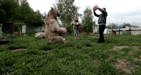 russian-couple-lives-with-adopted-bear-01
