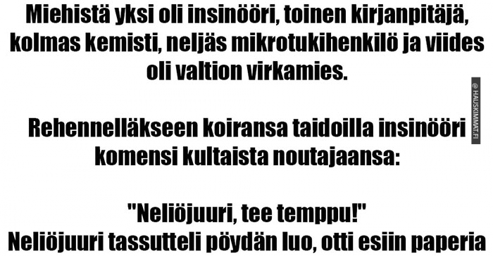 Vitsit | Hauskimmat.fi