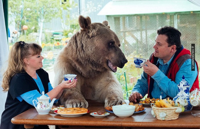 russian-couple-lives-with-adopted-bear-02