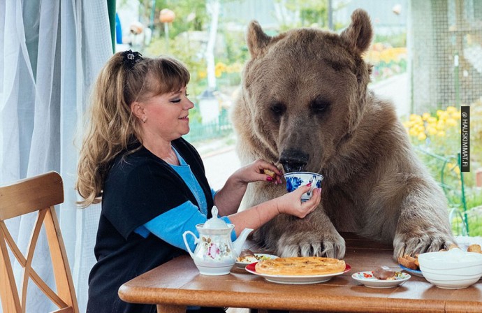 russian-couple-lives-with-adopted-bear-04