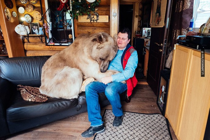 russian-couple-lives-with-adopted-bear-07