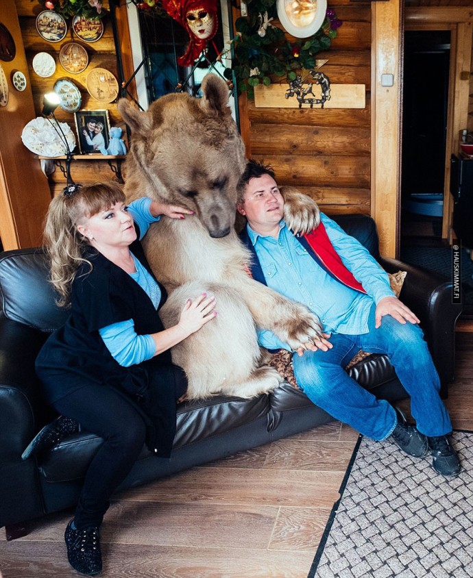 russian-couple-lives-with-adopted-bear-08