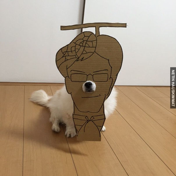 dog-costume-cardboard-cutouts-myouonnin-13-580f54051aa3e__605