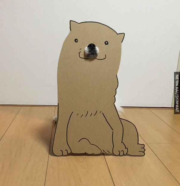 dog-costume-cardboard-cutouts-myouonnin-20-580f541415e4d__605