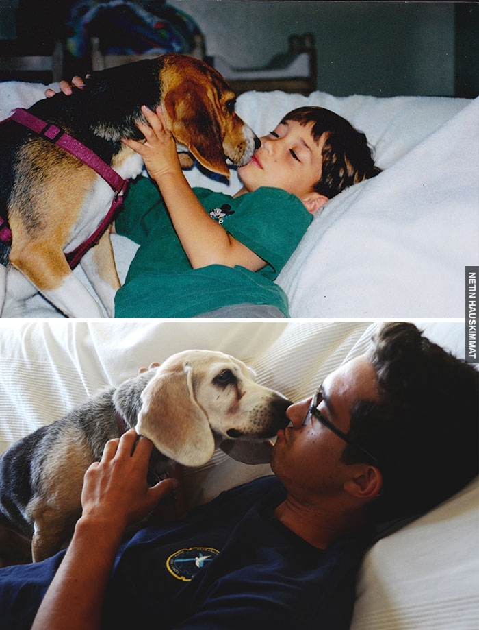 before-after-dogs-growing-up-together-with-owners-8-58256f57c9663__700